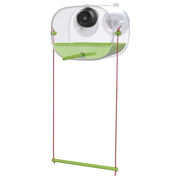 Smart Bird Feeder Camera with AI Identification 1080P Video Automatic Detection Instant Notifications for Home
