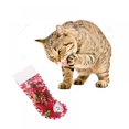 thumbnail image 5 of Christmas Dog Stocking Toys  9PCS  Dog Toy Set with Squeaky Toys(Green), 5 of 5