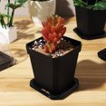thumbnail image 3 of MasteelfCA 5 Pcs Pots de Pépinière Pots de Plantation Pots de Semis Intérieur Petits Pots de Fleurs, 3 of 9