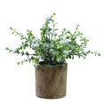 thumbnail image 1 of Fake Plant Potted Lifelike Small Artificial Greenery Plant Faux Plant Decoration, 1 of 10