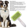 thumbnail image 3 of Brosse de Toilettage Auto-Nettoyante pour Chats pour Animaux de Compagnie, 3 of 8
