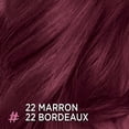 thumbnail image 3 of L'Oréal Paris Colorista Semi Permanent Hair Dye, 3 of 6