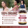 thumbnail image 4 of Herba Capsules de Maca Rouge Biologiques pour Femmes – 500 Mg, 150 Capsules / Fabriqué au Canada, 4 of 8