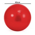 thumbnail image 2 of Exercise Ball, Stability Ball , Fitness Ball for Posture, Balance, Yoga, Pilates, Core, & Rehab, 2 of 5