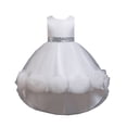 thumbnail image 1 of WEAIXIMIUNG Prom Dresses for Teens Long Flowy Kids Toddler Baby Girls Spring Summer Print Ruffle Sleeveless Party Decorations Dress, 1 of 9
