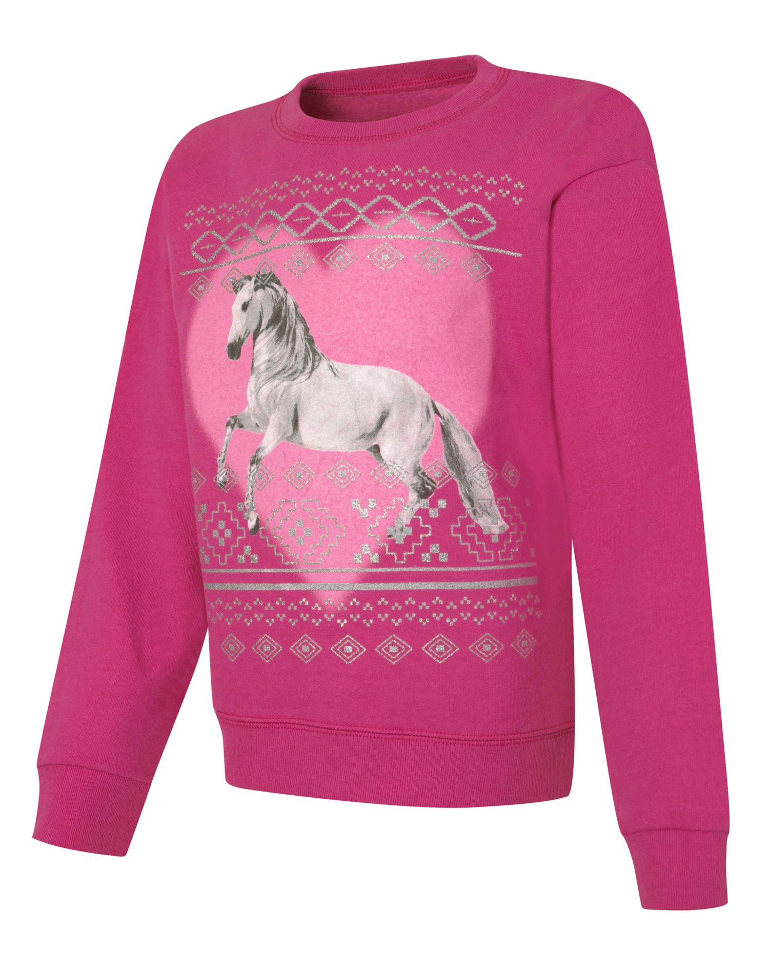 Hanes Girls EcoSmart Graphic Crewneck Sweatshirt, L, Unicorn/Amaranth