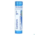 thumbnail image 4 of Boiron Cantharis 30CH – Homeopathic Medicine | 80 Pellets (4g Tube), 4 of 7