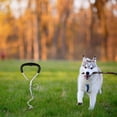 thumbnail image 5 of TopLLC Outdoor Decorations Tie Out Stake For Dogs Secure And Dog Stakes For Outdoor Activities And Training Fixed pile, 5 of 5