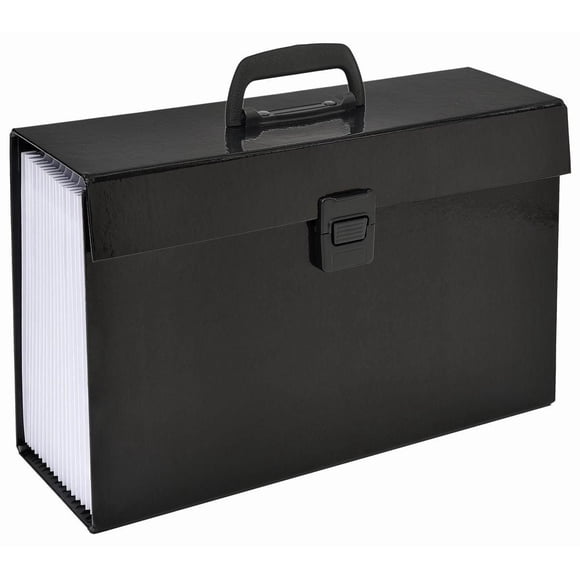 FHE Group Expanding File Case