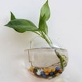 thumbnail image 1 of Dvkptbk Vase un Créatif Vase Mural Suspendu Semi-Rond Transparent Verre Hydroponique Artisanat Décoration Maison Déco Maison, 1 of 1