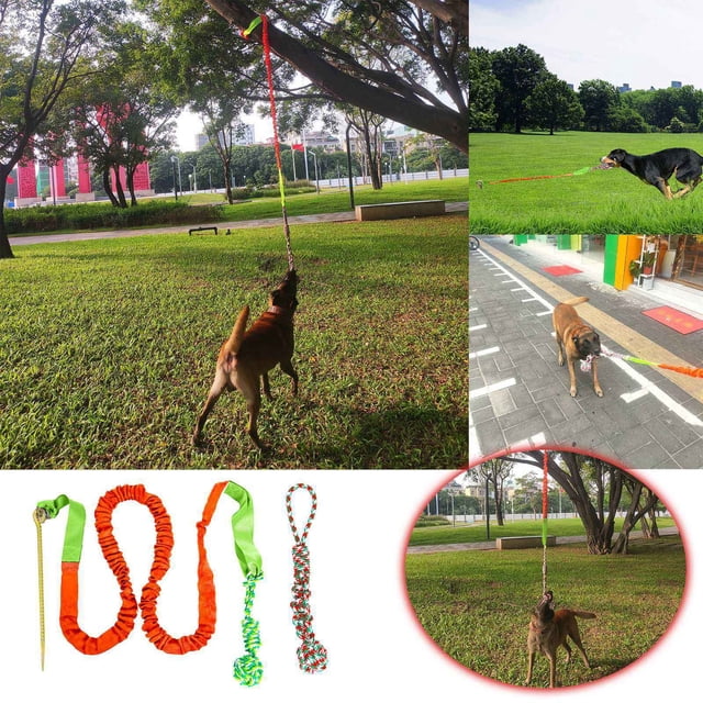 WIFKLSIIPG Dog Teeth Grinding Outdoor Tug of War Knotted Rope Tree Bungee Dog Toy Outdoor Tree Stump Rope Toy