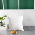 thumbnail image 1 of HOARBOEG Brushed Fabric Pillow Core Lumbar Cushion Cushion Core, 1 of 9