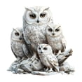 thumbnail image 2 of Fridja Clearance White Owls Home Decorative Ground Insert Garden Sign Outdoor Pots Decorative Ground Insert, 2 of 6