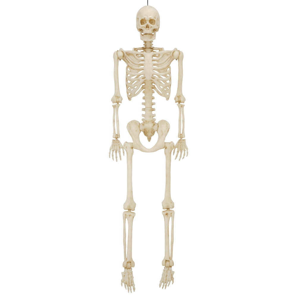 5ft Light Up Poseable Skeleton Decoration, Halloween Outdoor Decor, by Way To Celebrate