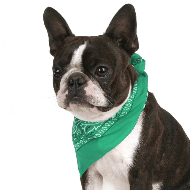 Balec Pack of 2 Paisley Cotton Dog Bandana Triangle Shape - One Size Fits Most