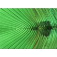 thumbnail image 1 of Ahgly Company Tapis d'Aire Rectangulaire Transitionnel Vert pour Intérieur, Lavable à la Machine, 6 Pieds x 9 Pieds, 1 of 7