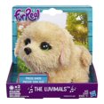 thumbnail image 1 of FurReal Friends Furreal The Luvimals Sweet Singin' Biscuit, 1 of 2