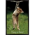 thumbnail image 1 of Famous Kitten Hang In There Poster Wall Poster, 22.375" x 34", 1 of 5