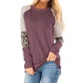 thumbnail image 1 of Nlife Women Colorblock Stripes Leopard Print Crew Neck Long Sleeves Top, 1 of 4