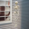 thumbnail image 2 of Way to Celebrate Halloween Decoration Hanging Posable Bone Color Plastic Skeleton 16in, 2 of 6