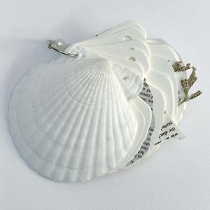 Suncoda Carnet de notes, Journal des fans de palmiers ormelone Cadeau livre d'art naturel