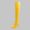 thumbnail image 1 of EGNMCR Bottes d'Hiver pour Femmes Chaussures pour Femmes d'Hiver à Bout Pointu Fines à Talons Hauts Bottes pour Femmes, 1 of 5