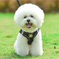 thumbnail image 2 of LSLJS Pet Harness and Leash Set, All-in-one Reflective Dog Harness No Pull with Adjustable Buckles for Puppies, Small, Medium, Large, and Extra-Large Dogs, 2 of 2