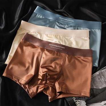 Elegant Silk Men's Ice Silky Underwear Mulberry Silk  Men's Boxer Briefs, Seamless Comfort 3PCS
