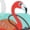 Flamingo, variant on Jetstream® Identification Luggage Tag, Travel ID tag