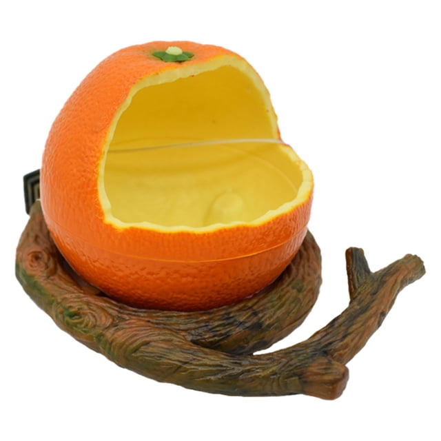 Parrot Bowl Bird Feeding Bowl Fruit Stable Flat Bottom Cage Rack Suitable For Pet Bird Parrot Cage Use