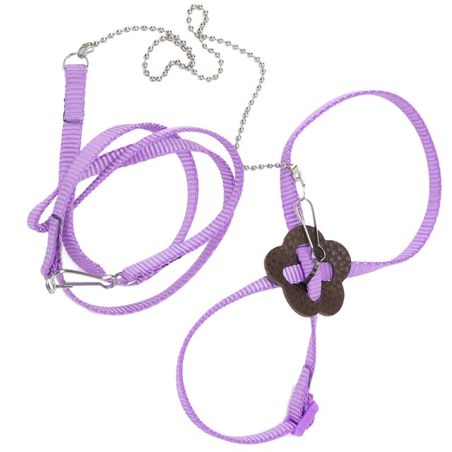 Loewten Lizard Leash, Adjustable Reptile Harness For Reptiles Outdoor Carrying Walking