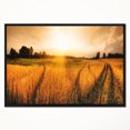 thumbnail image 2 of Designart - Champ de Blé au Coucher du Soleil Panorama - Photographie Encadrée Impression d'Art sur Toile, 2 of 4