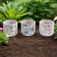 thumbnail image 2 of Terracotta Round Planters Fruits - Set of 3, 2 of 3