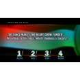 thumbnail image 4 of You Don't Know Jack - You Don't Know Jack DS, 4 of 4