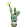 thumbnail image 1 of Vickerman FH192501 18 in. Green Potted Cactus Plastic Planter Pot, 1 of 3