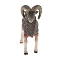 thumbnail image 1 of KLKCMS 1pc Realistic Animal Model Plastic Farm Figures Educational Learn Toy argali, 1 of 7