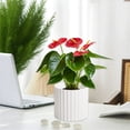 thumbnail image 1 of Modern White Plastic Planter Pot Flower Vase for Bookshelf Mantel Table Home Decoration, 1 of 6