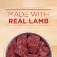 thumbnail image 4 of Purina ONE Tender Cuts in Gravy Lamb & Brown Rice Entrée, Wet Dog Food 368 g, 4 of 10