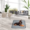 thumbnail image 1 of Vadktai Tapis Pipi Lavables pour Chiens et Chats, Tapis Pipi Réutilisables pour Chiots, Tapis de Propreté pour Dressage de Chiens, Tapis Pipi pour Chiens Super Absorbants, Tapis de Transport pour Animaux, 1 of 6