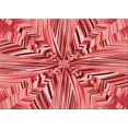 thumbnail image 1 of Ahgly Company Tapis Rectangulaire Rouge Lavable en Machine, 6 Pieds x 9 Pieds, 1 of 7