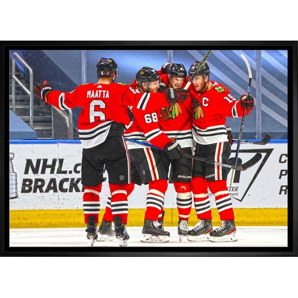 Chicago Blackhawks 20x29" Framed Canvas