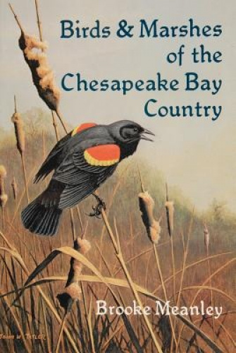 Oiseaux et Marais de la Baie de Chesapeake