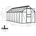 thumbnail image 4 of vidaXL Serre avec Cadre de Base Anthracite Aluminium 9.31 M2, 4 of 4