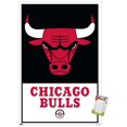 thumbnail image 1 of NBA Chicago Bulls - Logo 21 Wall Poster, 22.375" x 34" Framed, 1 of 4