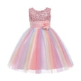thumbnail image 1 of Robes de Fête pour Filles Tout-Petits Filles Couleur Filet Nœud Papillon Robe de Fête d'Anniversaire Fleurs Robes Enfants Robes d'Anniversaire pour Filles Petites Filles Robes, 1 of 9