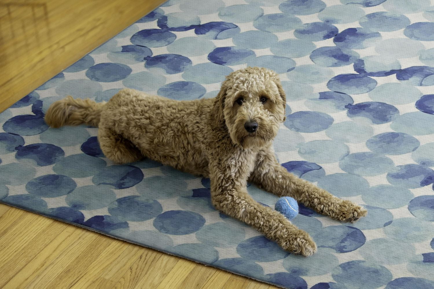Tapis d'extérieur lavable Lakeland bleu & ivoire 5 pi x7 pi