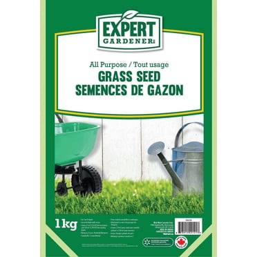 Expert Lawn Grass Seed 1KG