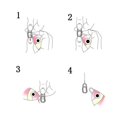 thumbnail image 2 of Xingzhi Roulement à Billes de Pêche Pivotant avec Pince à Pression Connecteur en Acier Inoxydable Équipement de Pêche 5, 2 of 8