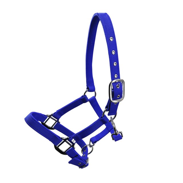 Wweixi Collier de Tête de Cheval Rembourré à Licou Grande Résilience Fournitures de Cheval Selle de Course Professionnelle Bleue m