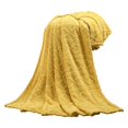 thumbnail image 1 of Couverture en Molleton Micro Peluche Super Douce et Chaude 150X200Cm pour Canapé Lit, 1 of 1
